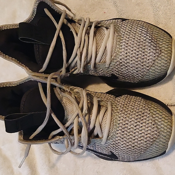 Lebrons - Picture 1 of 4